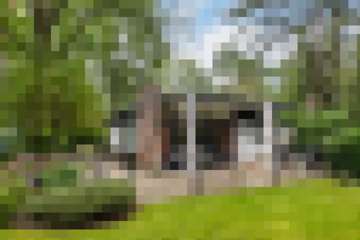 Maarnse Bergweg 1 r 96 Doorn thumbnail 22