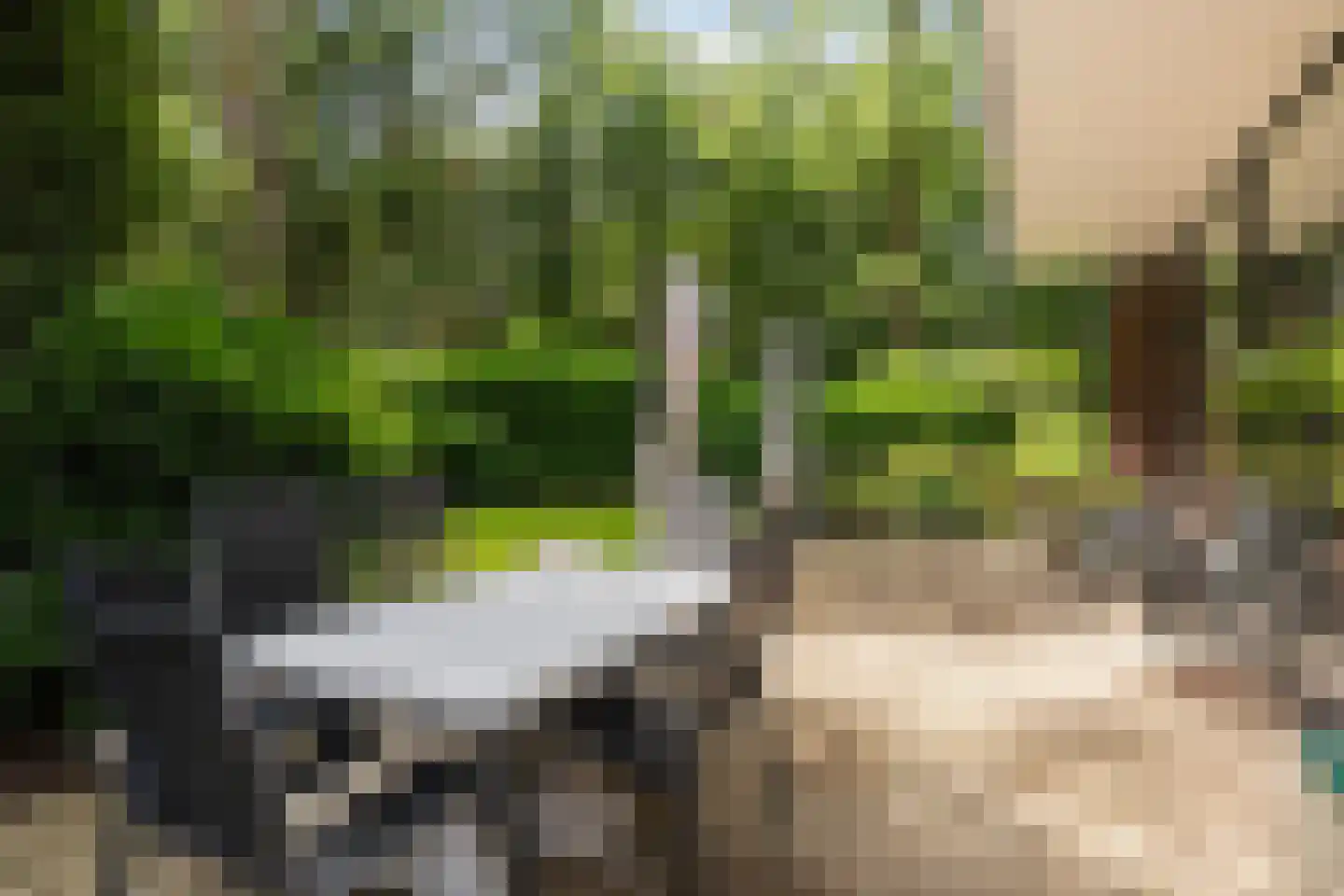 Maarnse Bergweg 1 r 96 Doorn thumbnail 24