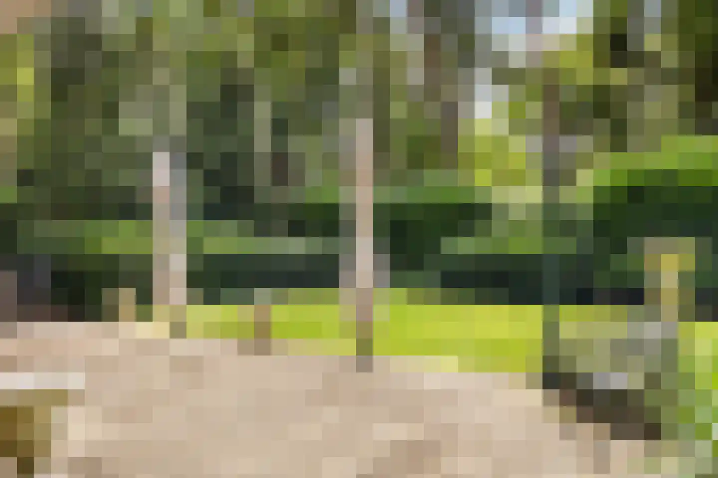 Maarnse Bergweg 1 r 96 Doorn thumbnail 26