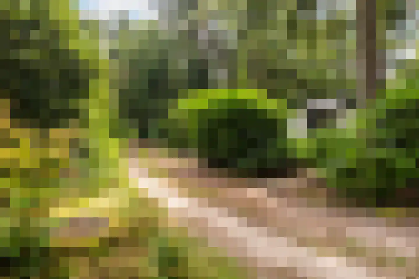 Maarnse Bergweg 1 r 96 Doorn thumbnail 33