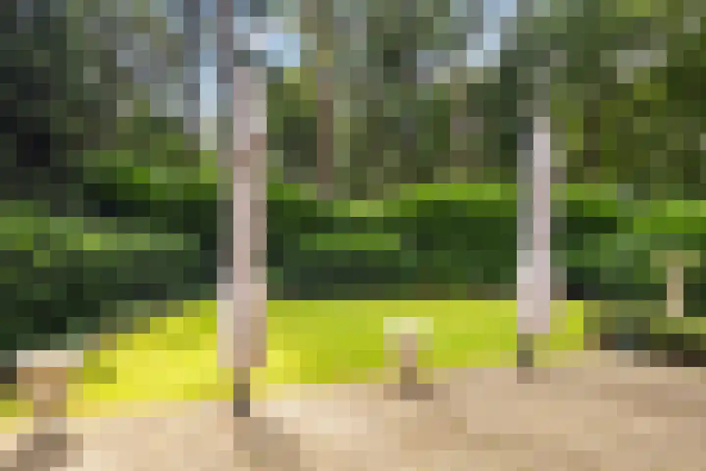 Maarnse Bergweg 1 r 96 Doorn thumbnail 4