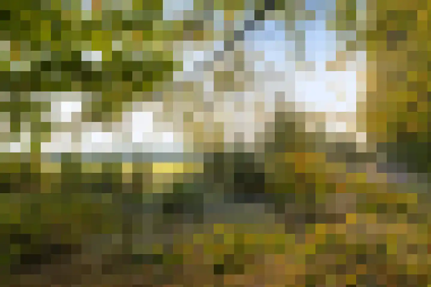 Maarnse Bergweg 1 r 96 Doorn thumbnail 40