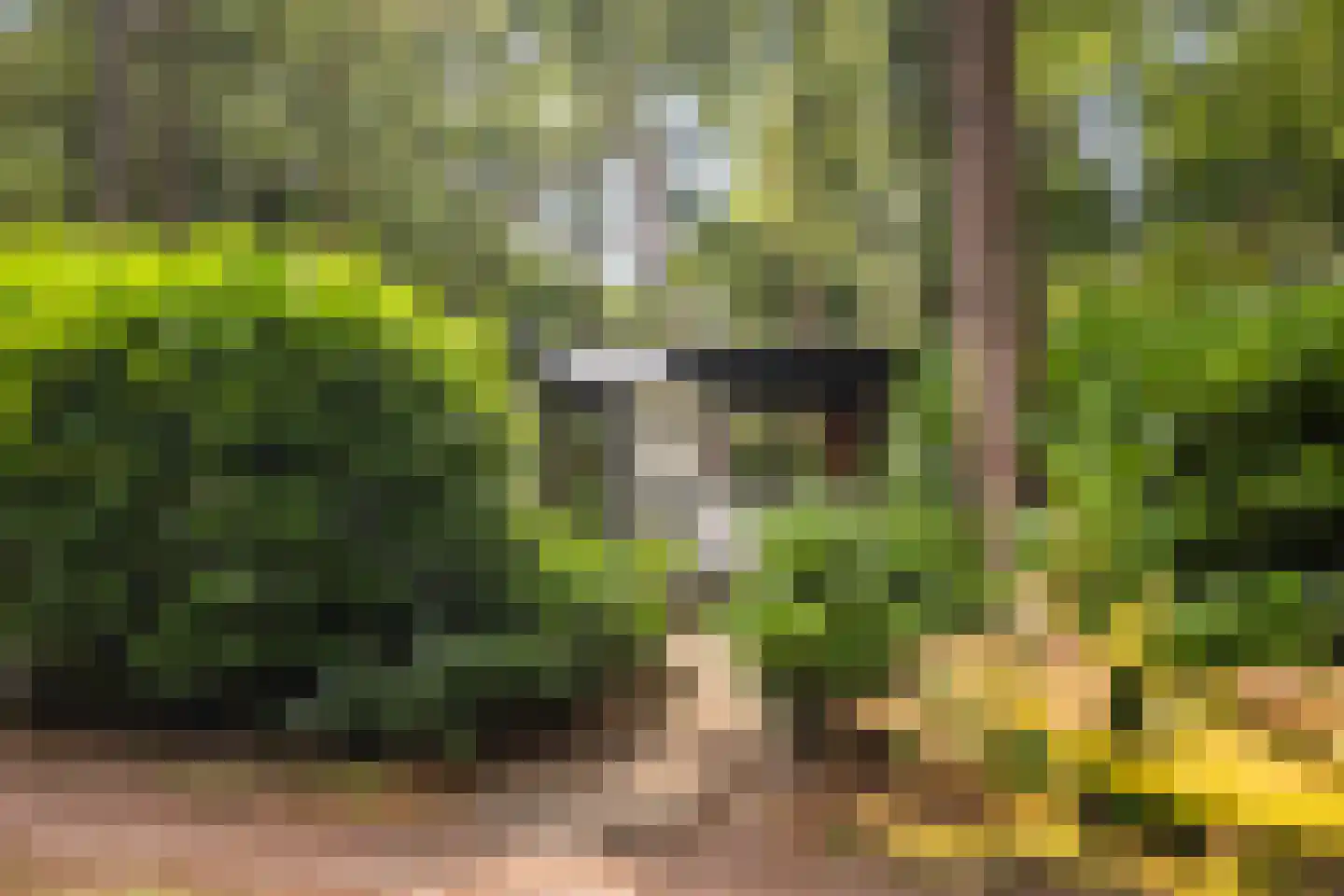 Maarnse Bergweg 1 r 96 Doorn thumbnail 5
