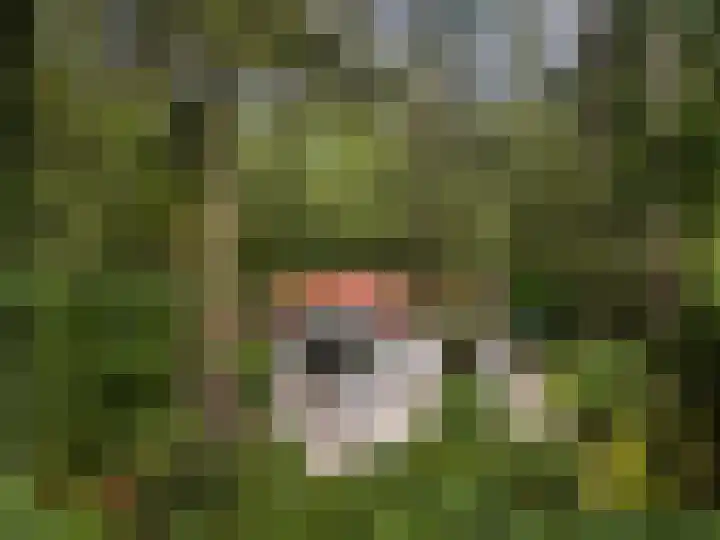 Maarnse Bergweg 1 r 98 Doorn thumbnail 28