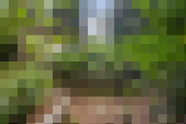 Maarnse Bergweg 1 r 98 Doorn thumbnail 29