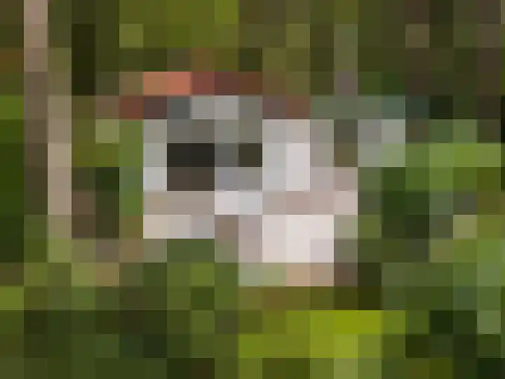 Maarnse Bergweg 1 r 98 Doorn thumbnail 30