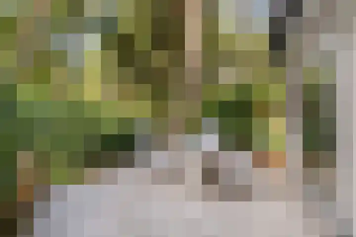 Maarnse Bergweg 1 r 98 Doorn thumbnail 32