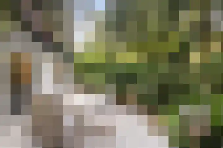 Maarnse Bergweg 1 r 98 Doorn thumbnail 35