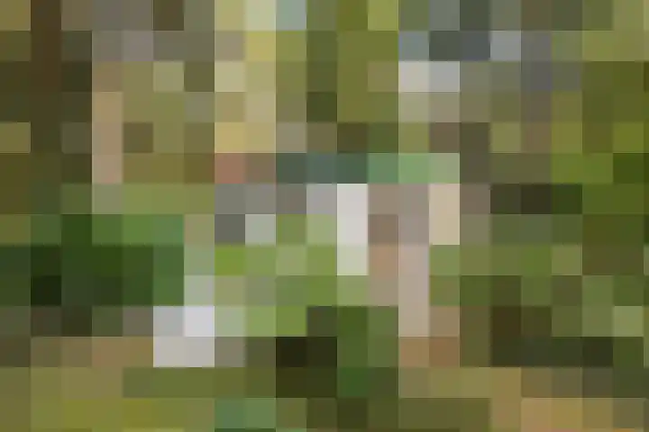 Maarnse Bergweg 1 r 98 Doorn thumbnail 36