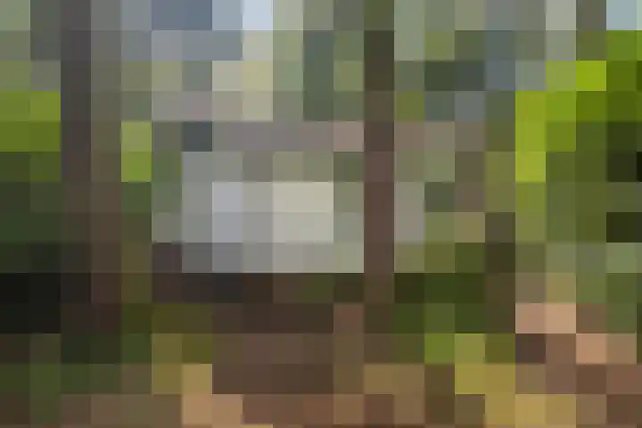 Maarnse Bergweg 1 r 98 Doorn thumbnail 39