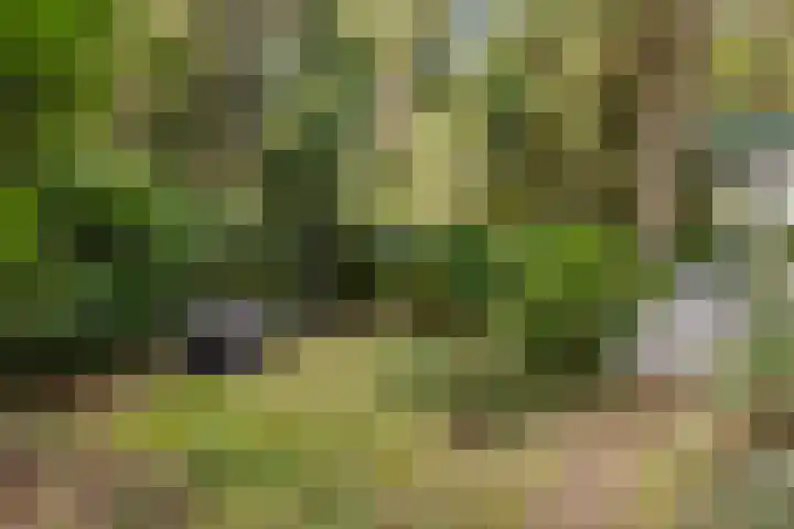 Maarnse Bergweg 1 r 98 Doorn thumbnail 41