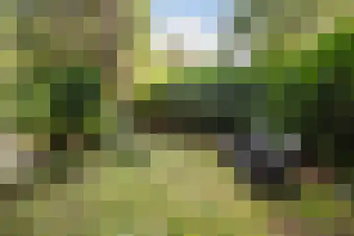 Maarnse Bergweg 1 r 98 Doorn thumbnail 42