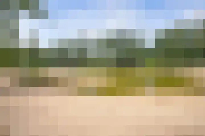 Maarnse Bergweg 1 r 98 Doorn thumbnail 43