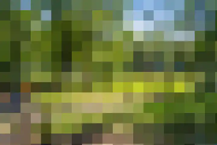 Maarnse Bergweg 1 r 98 Doorn thumbnail 46