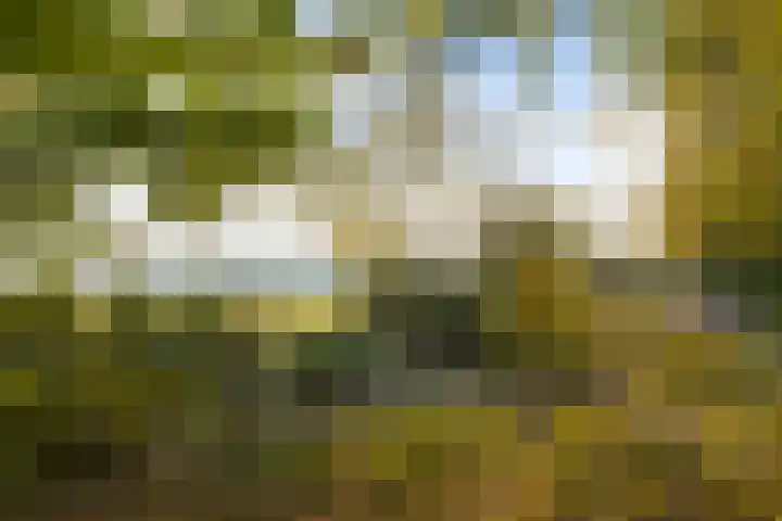Maarnse Bergweg 1 r 98 Doorn thumbnail 48
