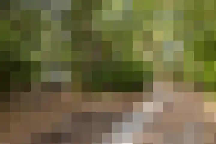 Maarnse Bergweg 1 r 98 Doorn thumbnail 5