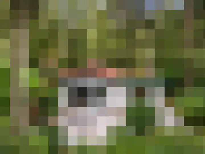 Maarnse Bergweg 1 r 98 Doorn thumbnail 7