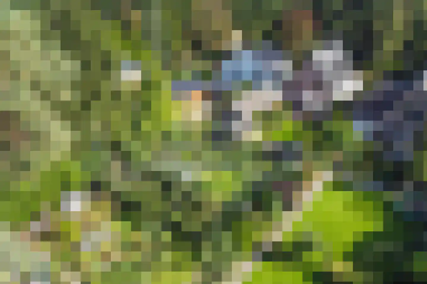 Maarnse Grindweg 8 Maarn thumbnail 10