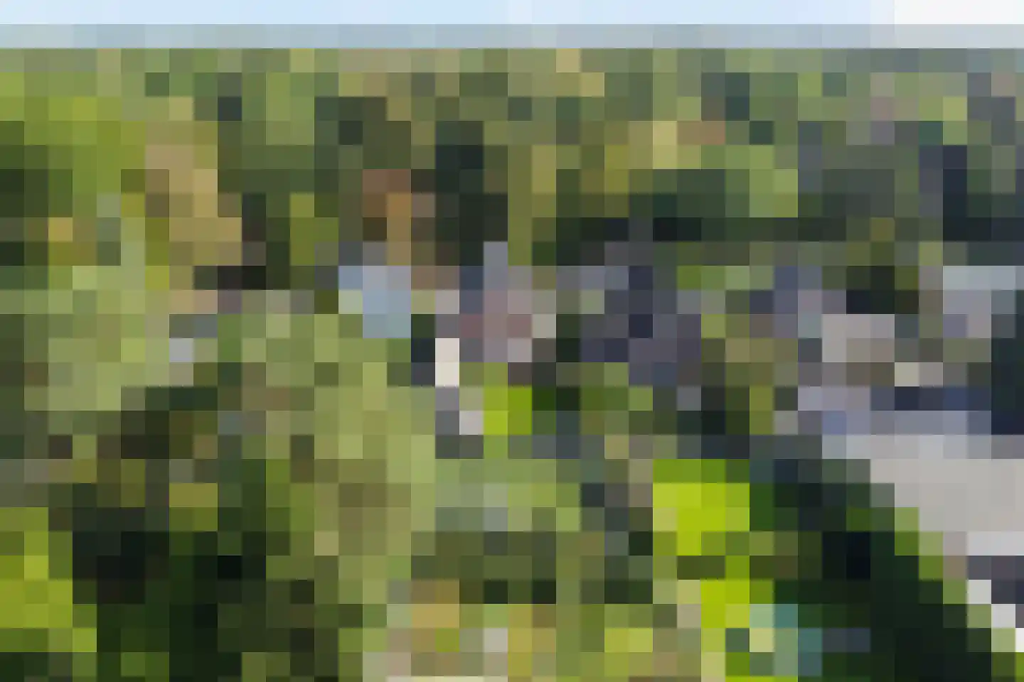 Maarnse Grindweg 8 Maarn thumbnail 11