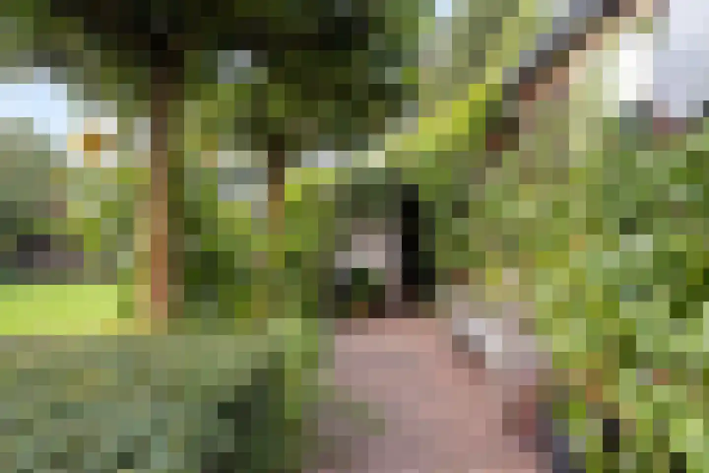 Maarnse Grindweg 8 Maarn thumbnail 58