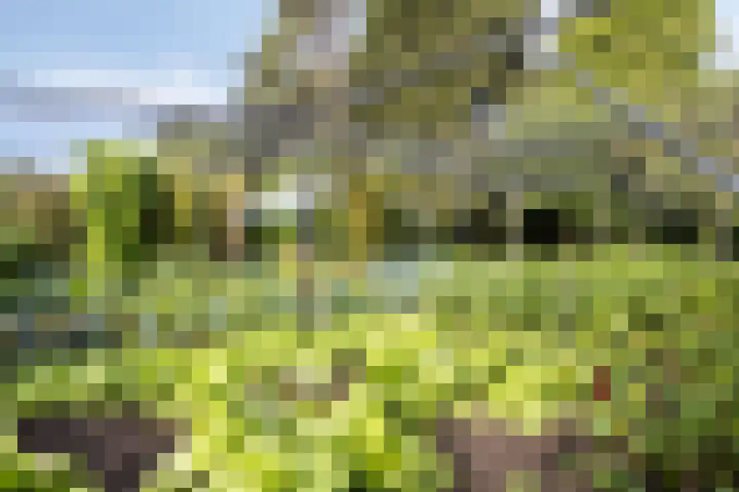 Maarnse Grindweg 8 Maarn thumbnail 64