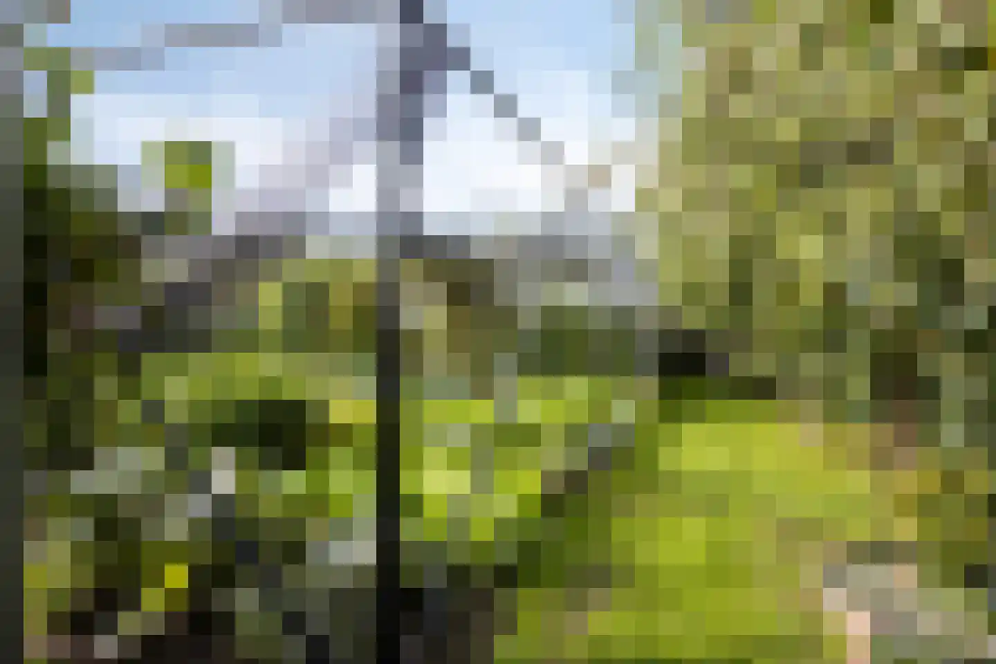 Maarnse Grindweg 8 Maarn thumbnail 65