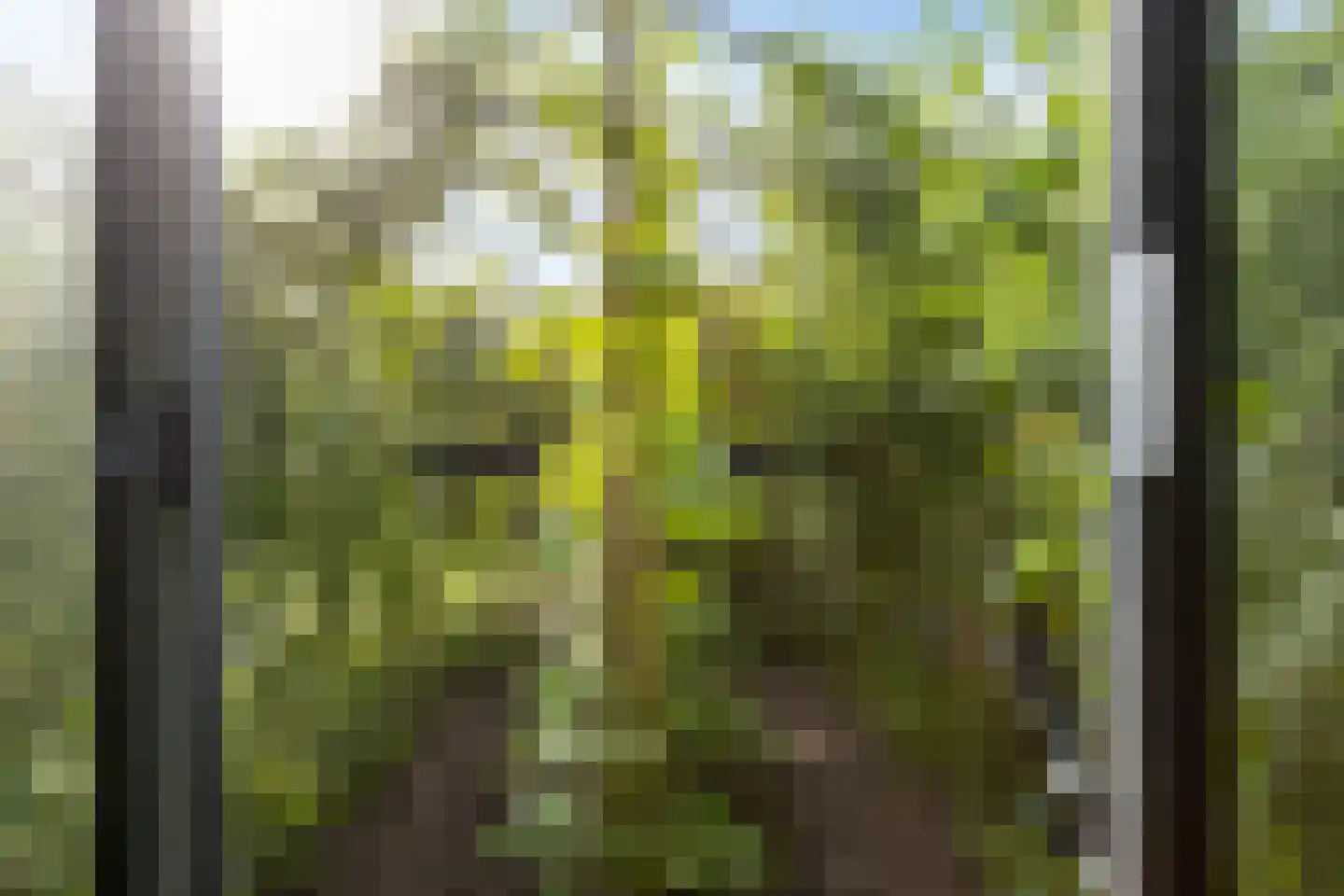 Maarnse Grindweg 8 Maarn thumbnail 67