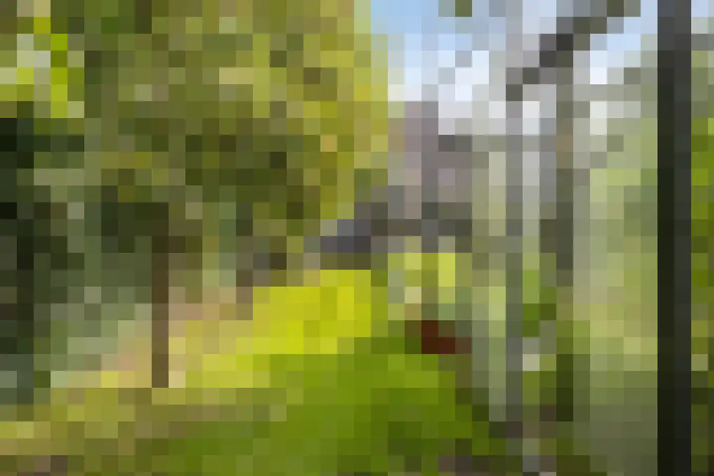 Maarnse Grindweg 8 Maarn thumbnail 68