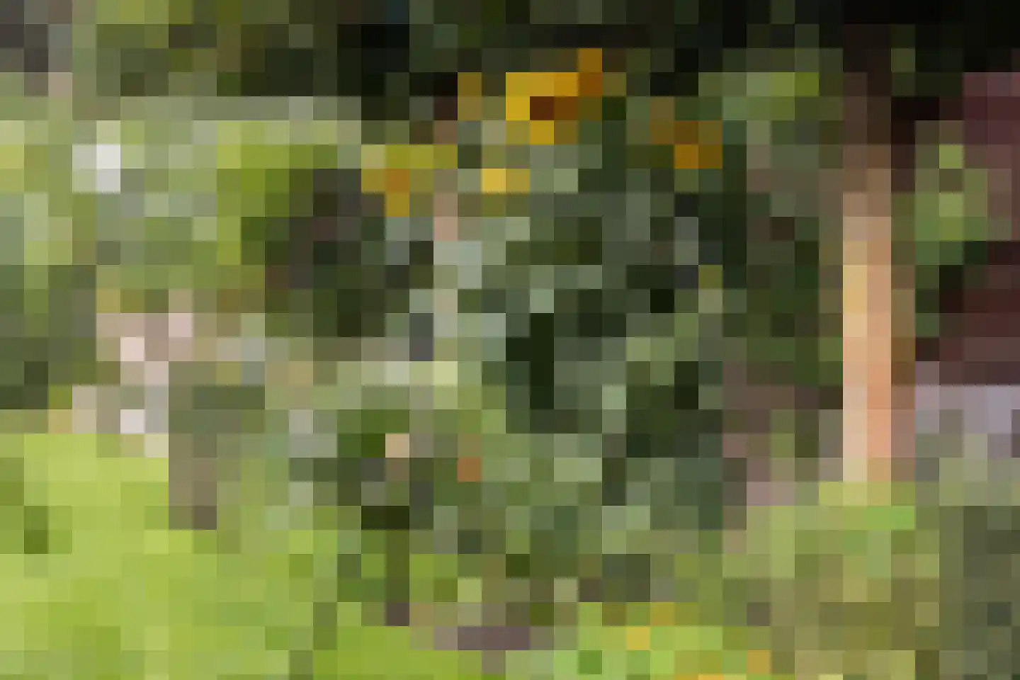Maarnse Grindweg 8 Maarn thumbnail 69