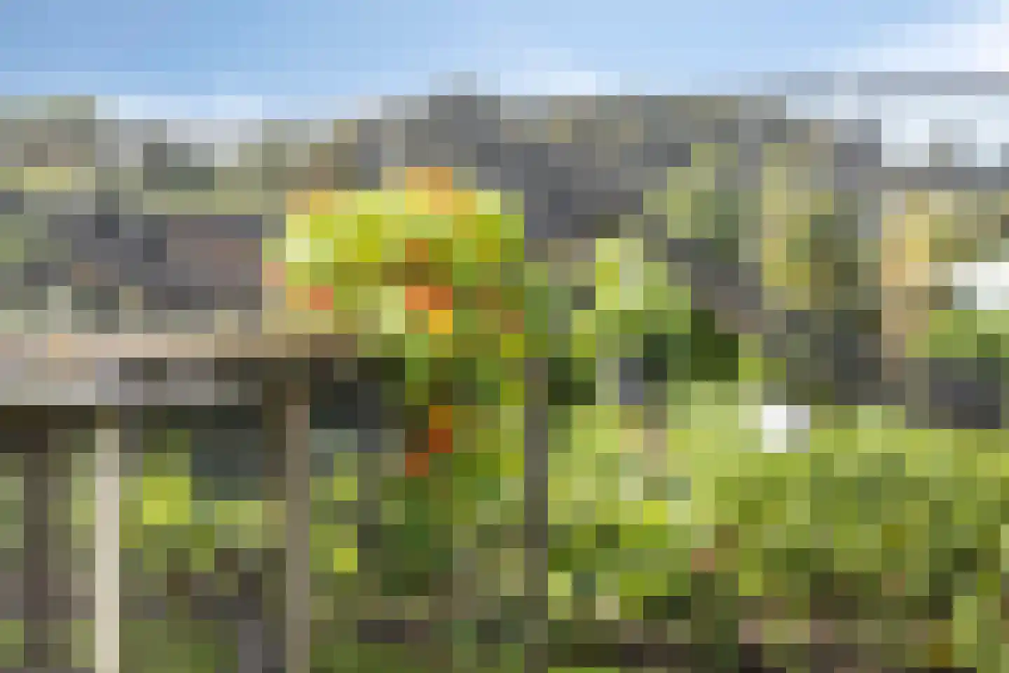 Maarnse Grindweg 8 Maarn thumbnail 70