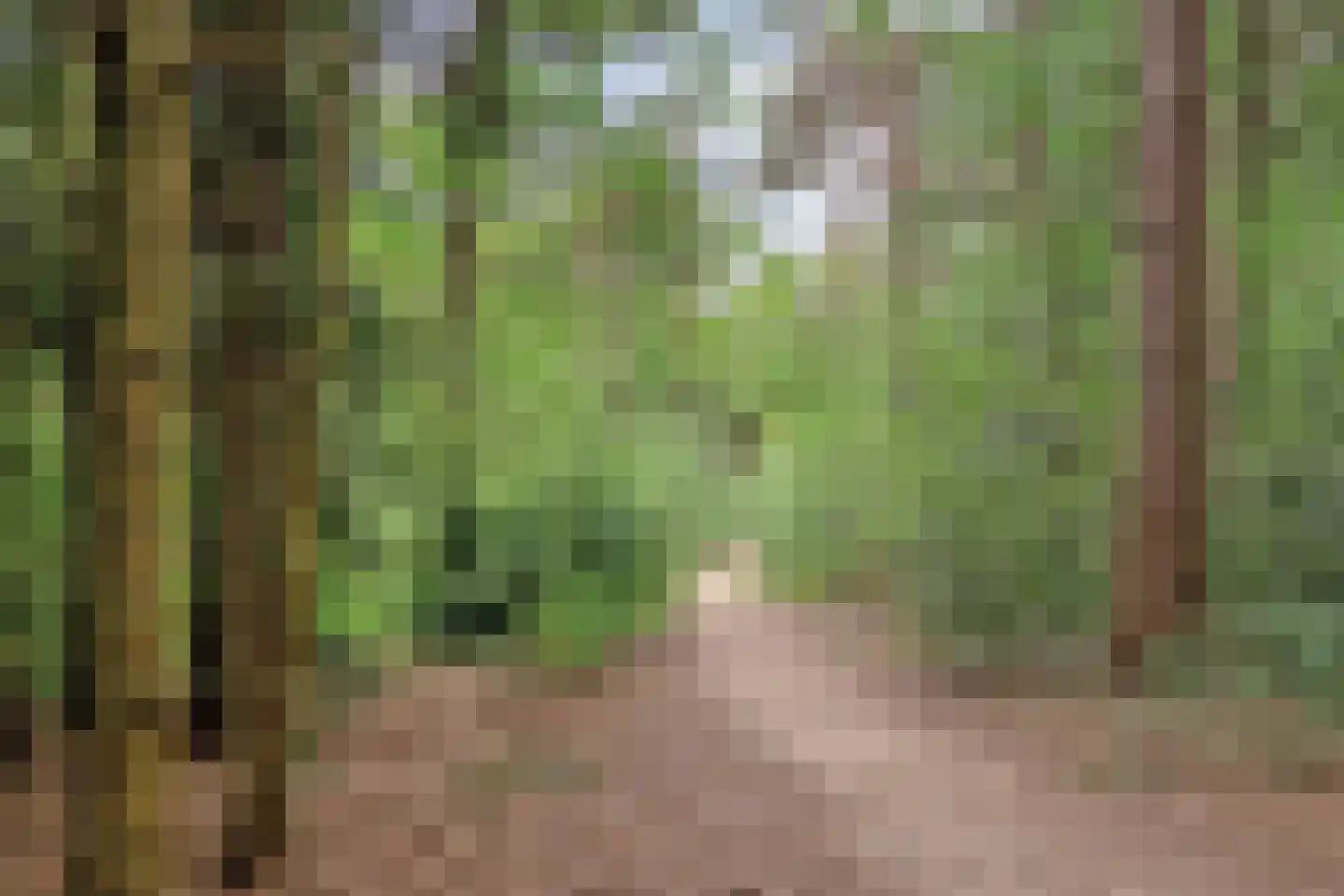 Maarnse Grindweg 8 Maarn thumbnail 71
