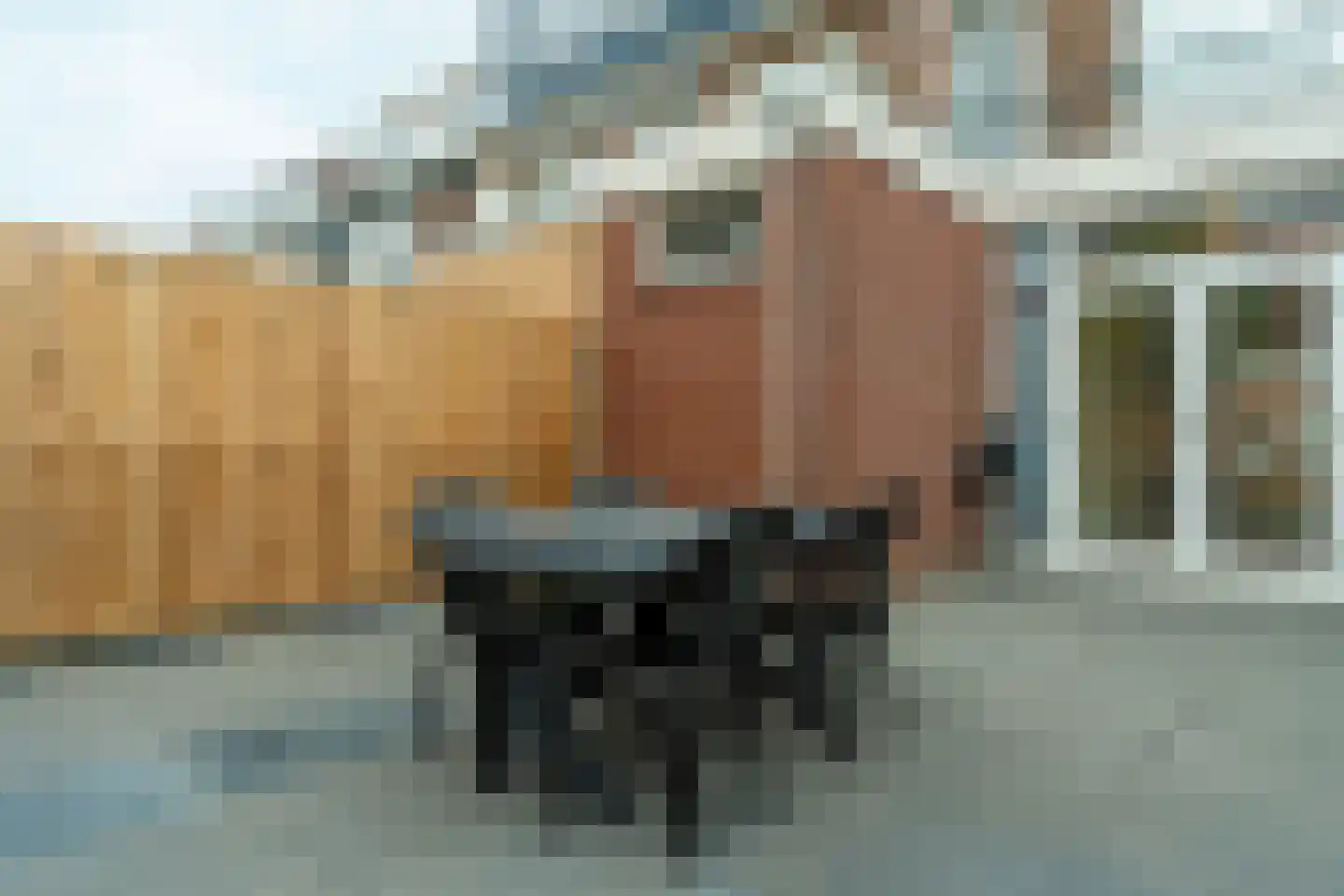 Maarsbergenstraat 139 Den Haag thumbnail 35