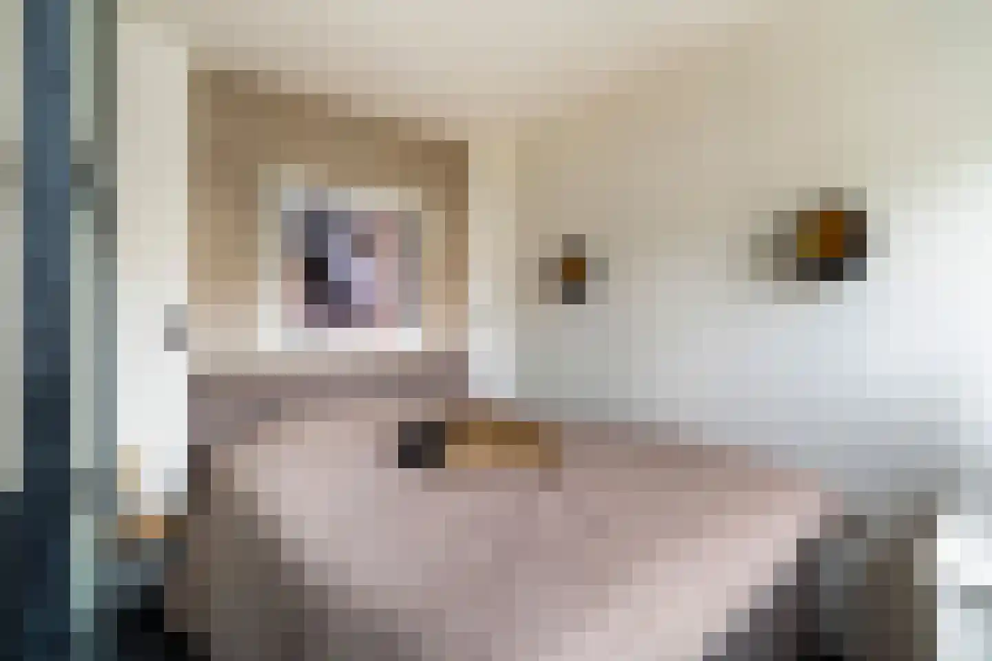 Maarsbergenstraat 87 Den Haag thumbnail 31