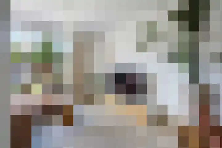 Maarsbergenstraat 95 Den Haag thumbnail 7
