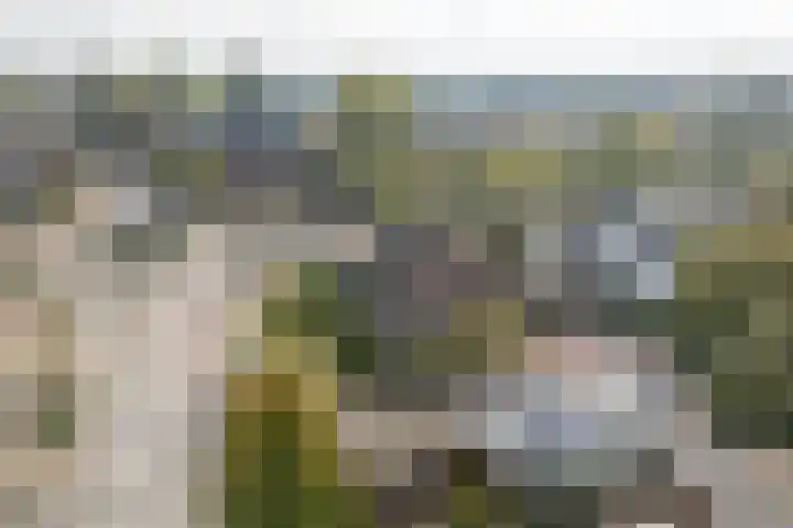 Maarsbergseweg 10 Woudenberg thumbnail 69