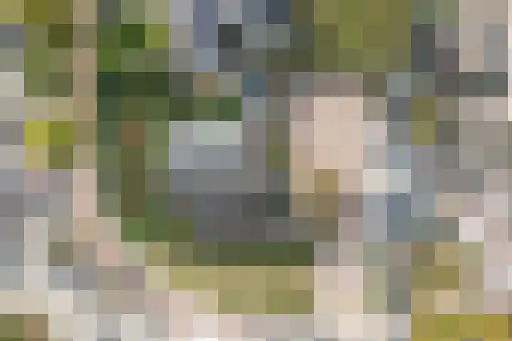 Maarsbergseweg 10 Woudenberg thumbnail 71