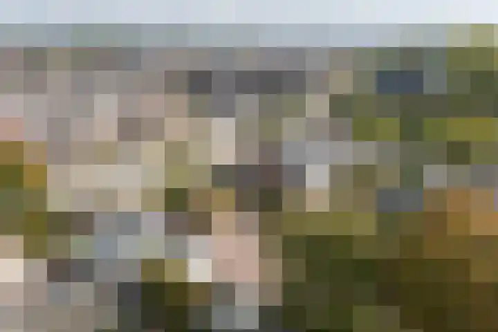 Maarsbergseweg 10 Woudenberg thumbnail 72