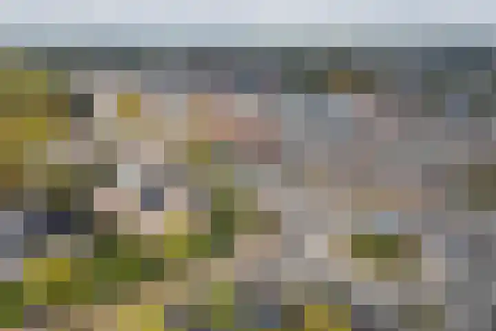 Maarsbergseweg 10 Woudenberg thumbnail 75