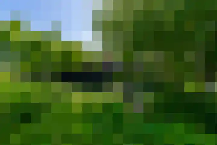 Maarsbergseweg 26 Woudenberg thumbnail 13
