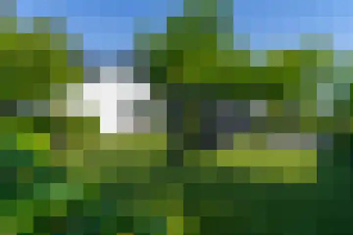 Maarsbergseweg 26 Woudenberg thumbnail 34