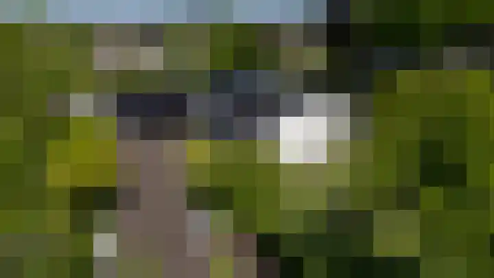 Maarsbergseweg 26 Woudenberg thumbnail 37