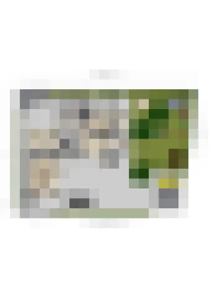 Maarsbergseweg 26 Woudenberg thumbnail 40
