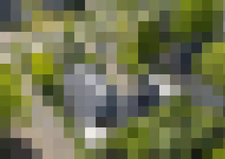 Maarsbergseweg 26 Woudenberg thumbnail 5