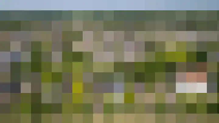 Maarsbergseweg 26 Woudenberg thumbnail 7
