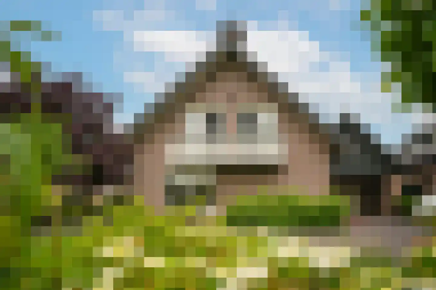 Maarsbergseweg 34 Woudenberg thumbnail 33