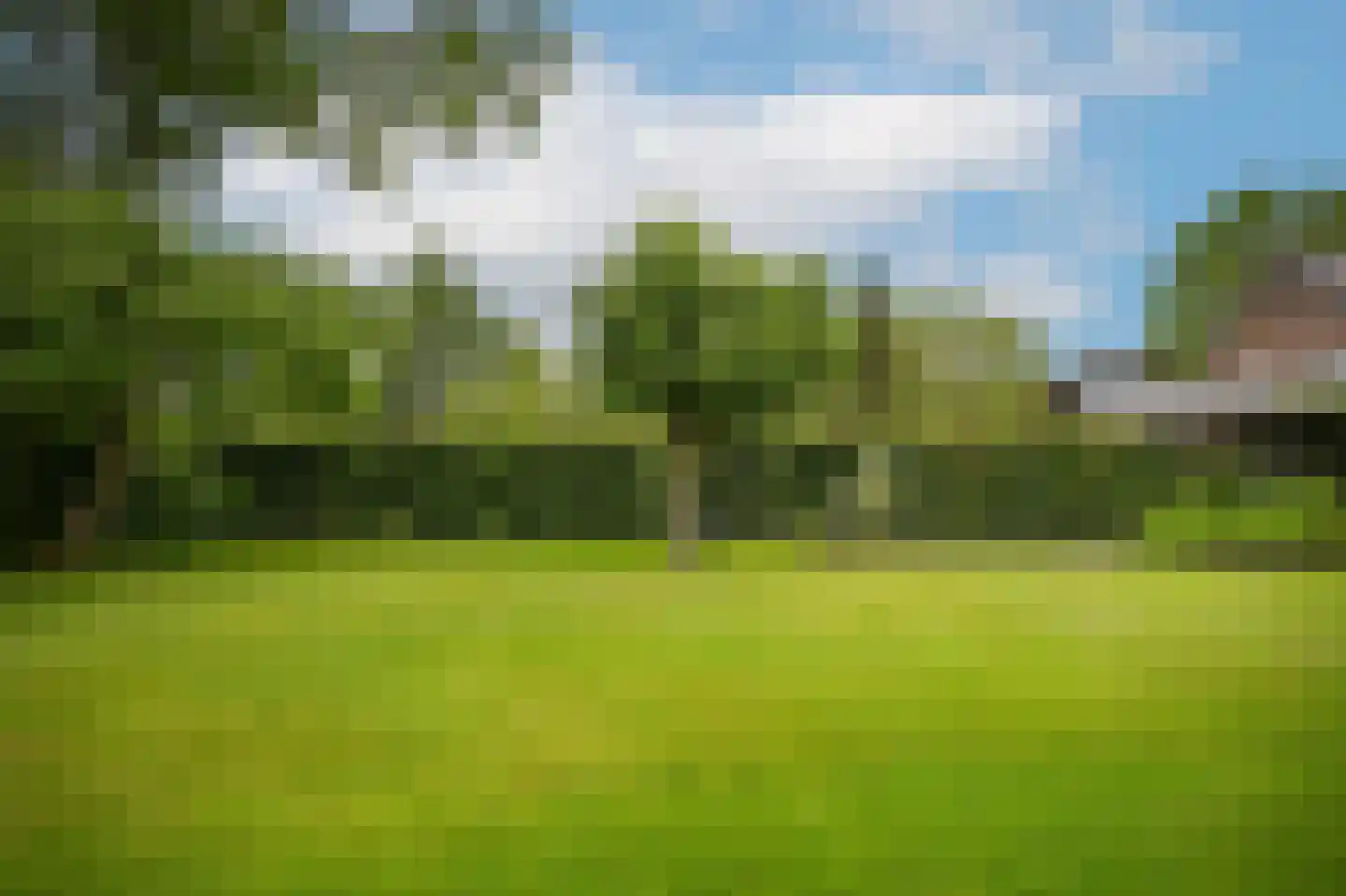 Maarsbergseweg 34 Woudenberg thumbnail 47
