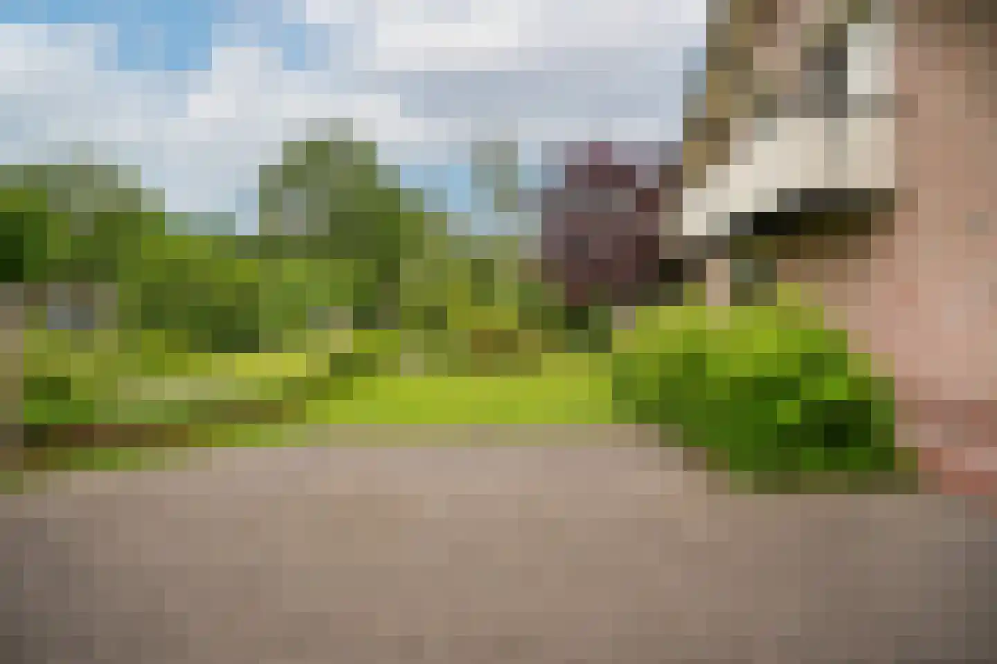 Maarsbergseweg 34 Woudenberg thumbnail 50