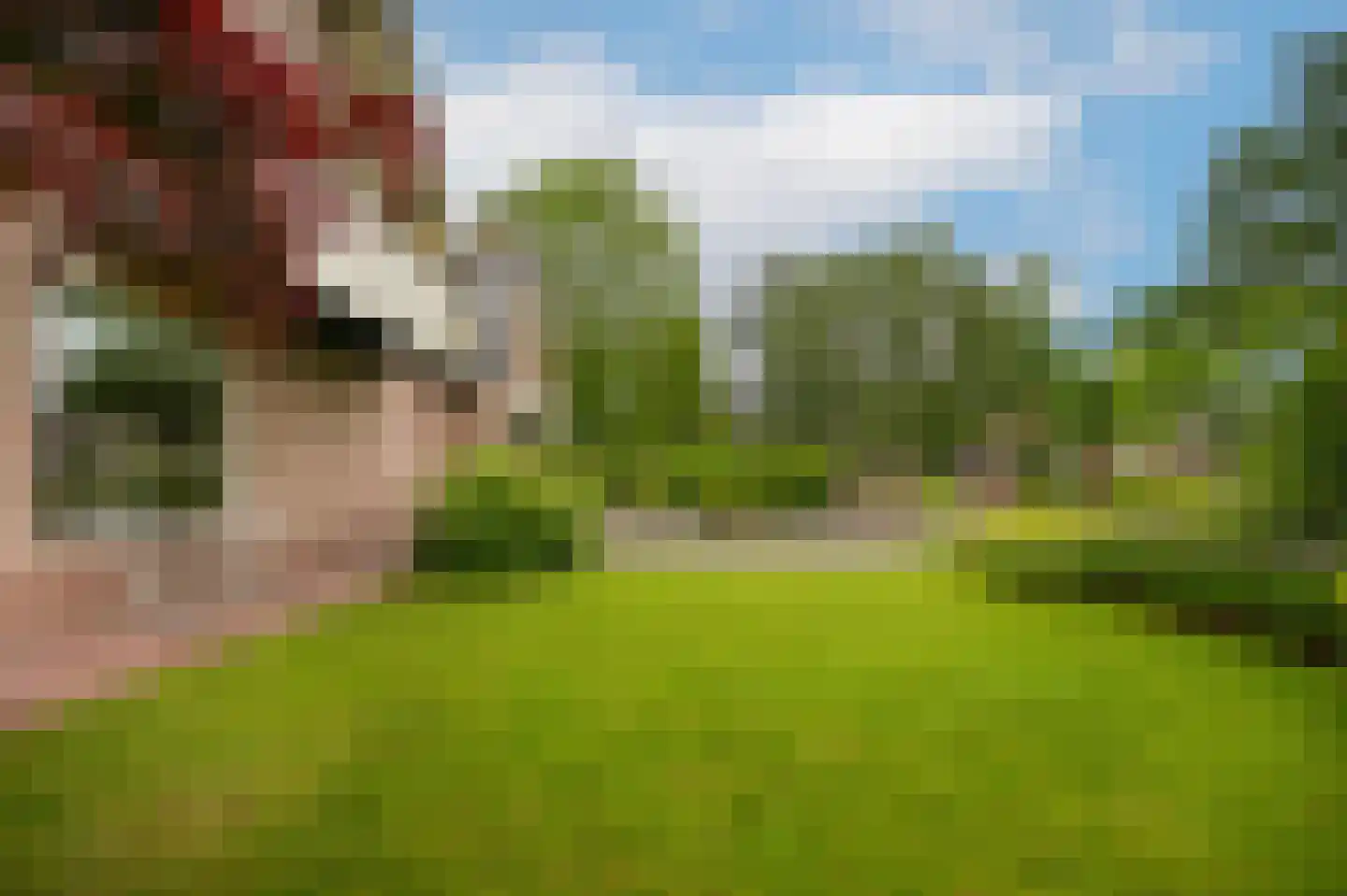Maarsbergseweg 34 Woudenberg thumbnail 51