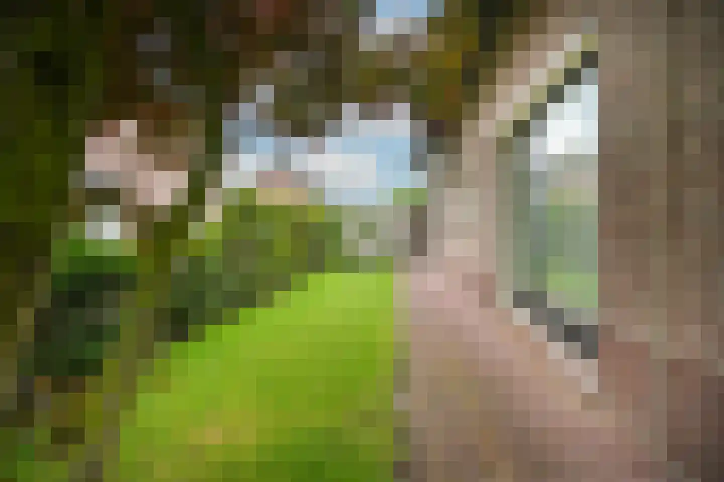 Maarsbergseweg 34 Woudenberg thumbnail 52