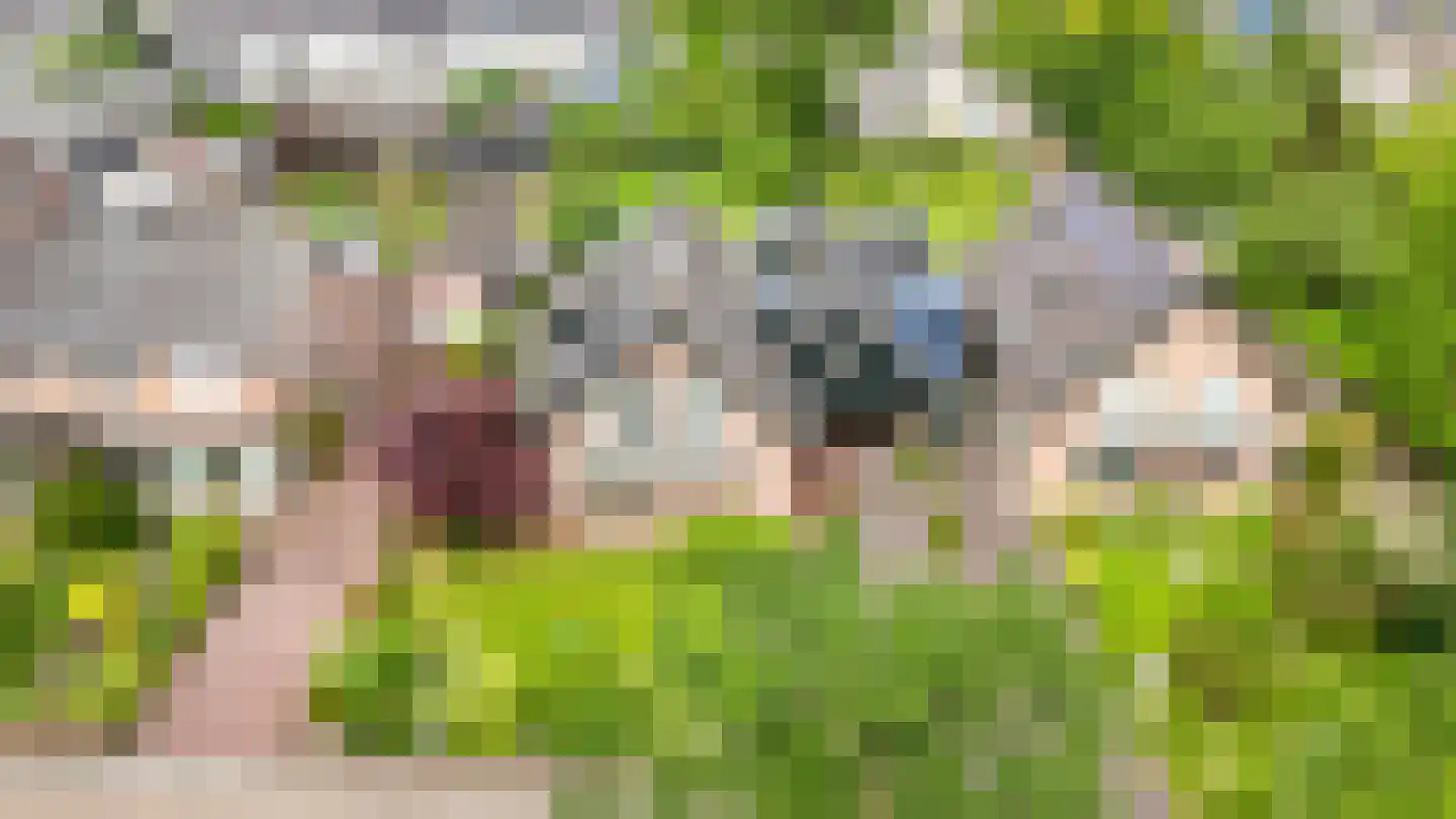 Maarsbergseweg 34 Woudenberg thumbnail 57